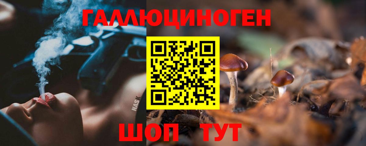 Ессентуки  Псилоцибиновые грибы Cubensis  Вход с VPN 